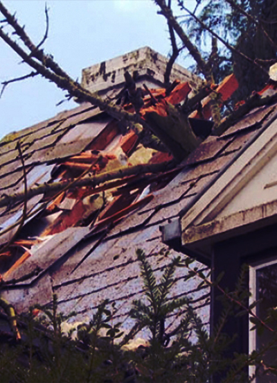 Dorothee-losseau-Nocladex-experte-privee-apres-sinistre